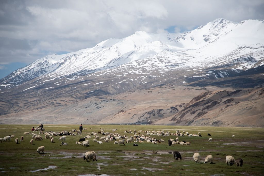 Ladakh | Changtang Peaks Exploratory | 6000m+ - Himalaya Alpine Guides རླུང